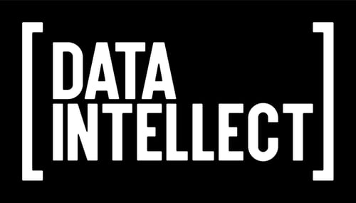 Data Intellect_Logo_RGB-02 (2)
